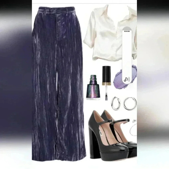 Treasure & Bond relaxed fit wide leg plisse velvet pants nwot size 4 - Picture 2 of 7
